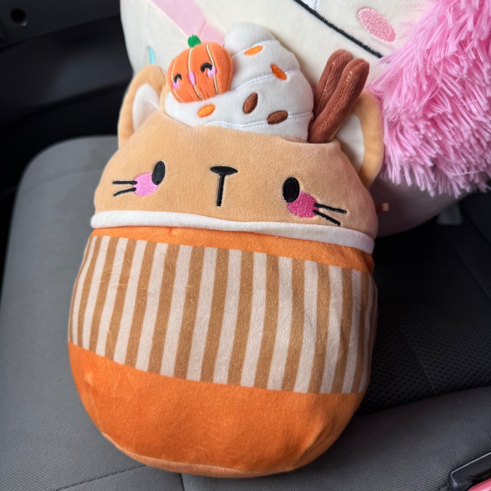 Squishmallows CINDA The Pumpkin Latte Cat 8" Fall Plush Claire's Exclusive RARE